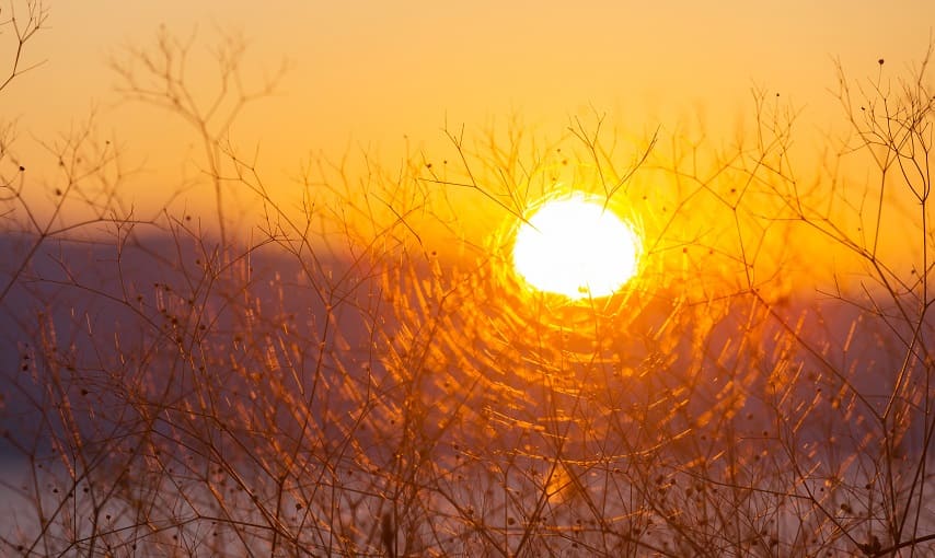 Haarausfall durch Hitze - Sonne scheint