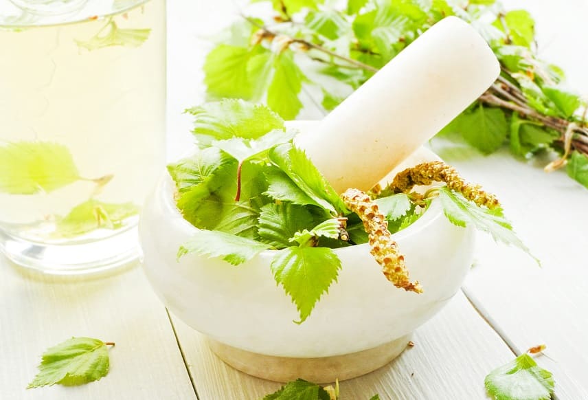 Birkenblätter Extrakt gegen Haarausfall