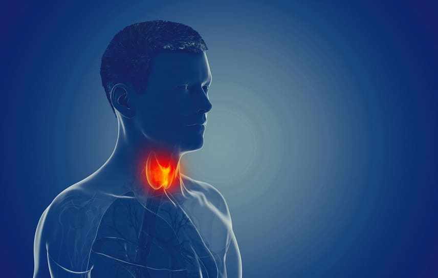 Haarausfall durch Hypothyreose