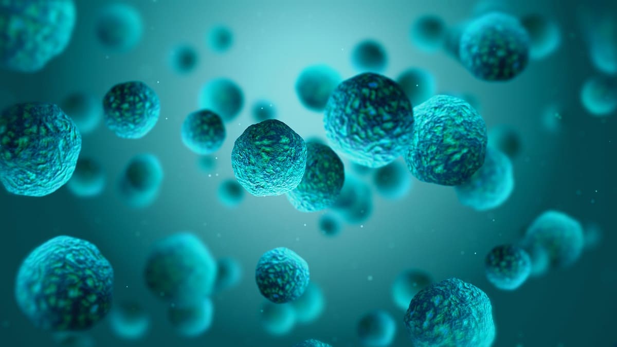 Haarausfall durch geschwächtes Immunsystem