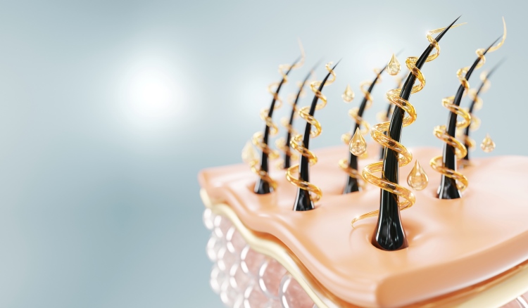 Grafik zeigt die Wirkung eines Shampoos auf die Haare