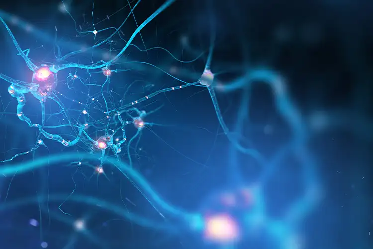 Darstellung von Impulsen im Gehirn, die auf verschiedene Reize reagieren, symbolisch für die neuroästhetische Wahrnehmung