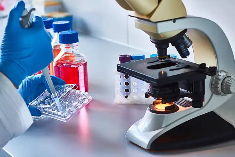 Wissenschaftler arbeitet im Labor mit Mikroskop – steht für medizinische Forschung und wissenschaftliche Grundlagen moderner Therapien