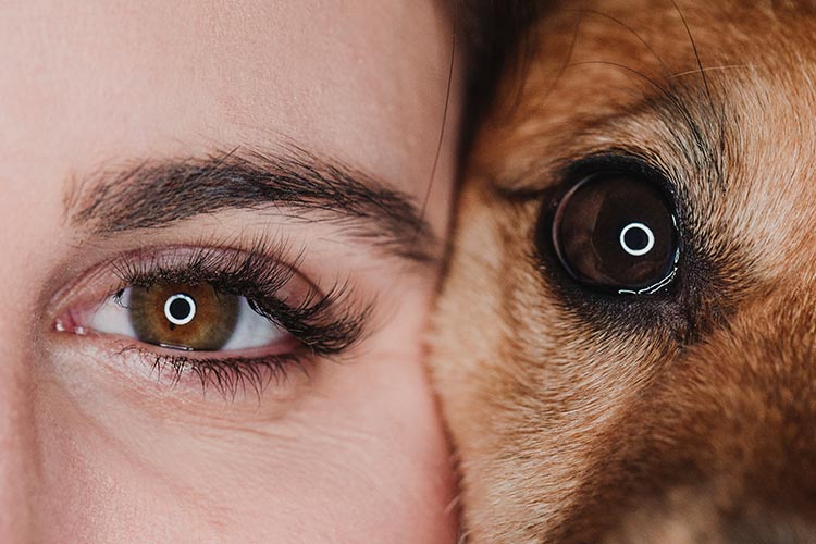 Ein Mensch und ein Tier nebeneinander - Kopf an Kopf