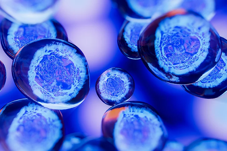 Darstellung von Zellen zur Veranschaulichung molekularer Signalprozesse